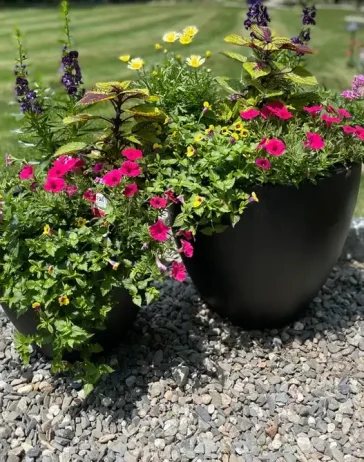 09c7cb d3403a8386de4671ac48f78b2f7ff48b~mv2 1@1x