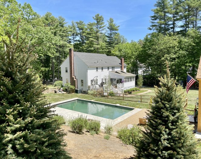A modern multi-level house with dark siding and light-colored stone accents. Concrete stairs lead down to a lower patio area with a small pool or water feature and a door leading to a basement-level room. Lush green plants are integrated into the stone landscaping.